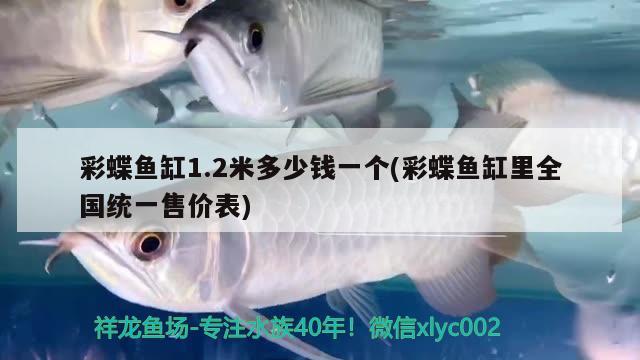 魚缸水族箱怎么安裝的圖解(魚缸水族箱怎么安裝的圖解圖片)