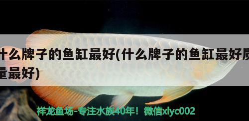 什么牌子的魚缸最好(什么牌子的魚缸最好質(zhì)量最好)