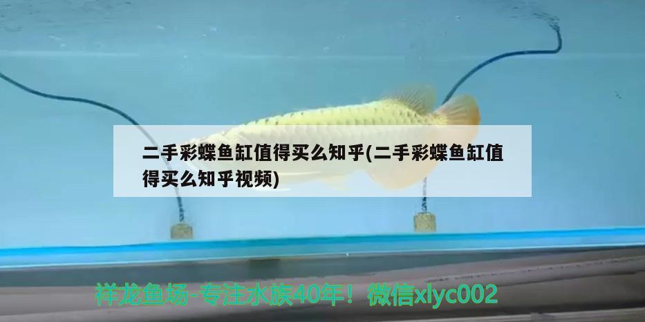 金龍魚1比1比1調(diào)和油多少錢（金龍魚油1 1 1的意思是什么） 速倍妥魚糧魚藥