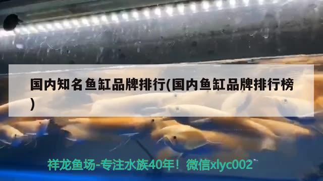 國內(nèi)知名魚缸品牌排行(國內(nèi)魚缸品牌排行榜)