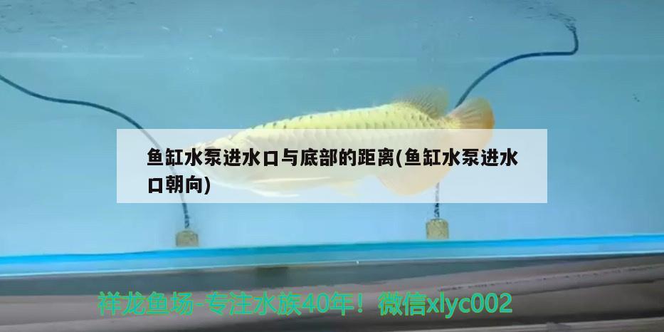 魚(yú)缸水泵進(jìn)水口與底部的距離(魚(yú)缸水泵進(jìn)水口朝向) 魚(yú)缸水泵