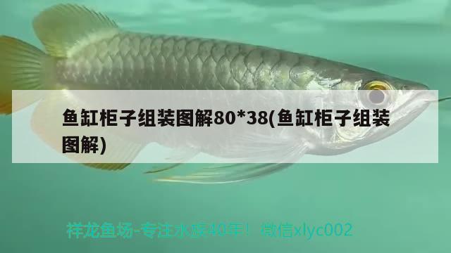 魚缸柜子組裝圖解80