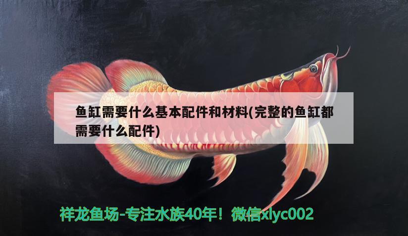 魚缸需要什么基本配件和材料(完整的魚缸都需要什么配件) 黃金達(dá)摩魚 第1張