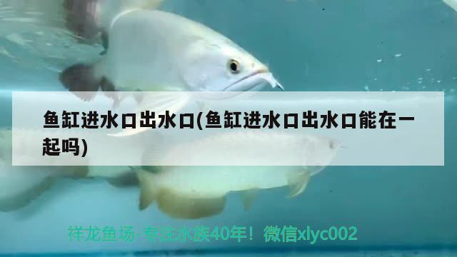 魚(yú)缸進(jìn)水口出水口(魚(yú)缸進(jìn)水口出水口能在一起嗎)