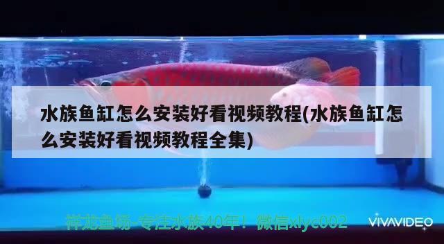 ERROR，浙江魚缸哪家公司做的質(zhì)量比較好