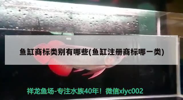 ERROR，浙江魚缸哪家公司做的質(zhì)量比較好