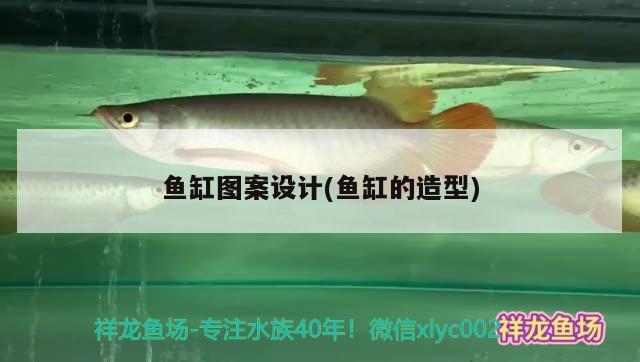 魚缸圖案設計(魚缸的造型) 紅龍魚百科