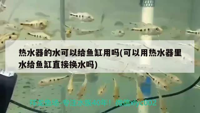 熱水器的水可以給魚缸用嗎(可以用熱水器里水給魚缸直接換水嗎)