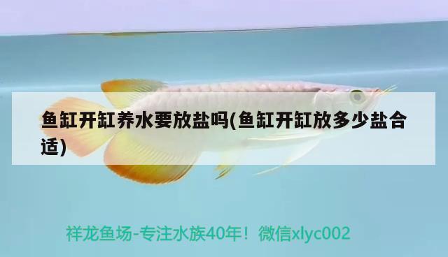 魚缸開缸養(yǎng)水要放鹽嗎(魚缸開缸放多少鹽合適) 黑桃A魚