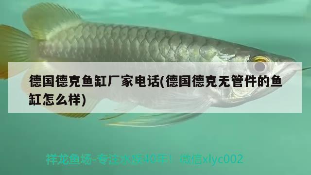 鄭州水族批發(fā)市場(chǎng)有哪些地有哪些地方賣(mài)魚(yú)的（鄭州的水產(chǎn)市場(chǎng)） 廣州水族批發(fā)市場(chǎng)