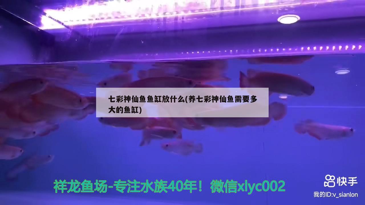 魚缸彩燈價格表圖片及價格（魚缸彩色燈好還是單色燈好） 其他品牌魚缸 第2張