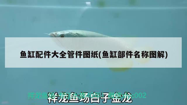 魚缸配件大全管件圖紙(魚缸部件名稱圖解) 黃金鴨嘴魚