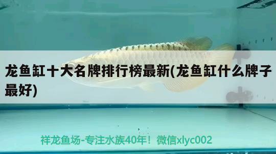 龍魚缸十大名牌排行榜最新(龍魚缸什么牌子最好) 充氧泵