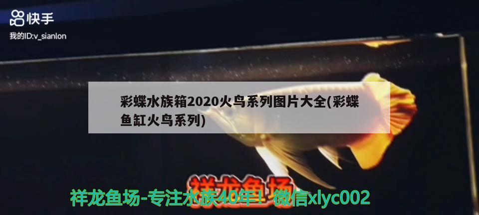 彩蝶水族箱2020火鳥(niǎo)系列圖片大全(彩蝶魚(yú)缸火鳥(niǎo)系列)