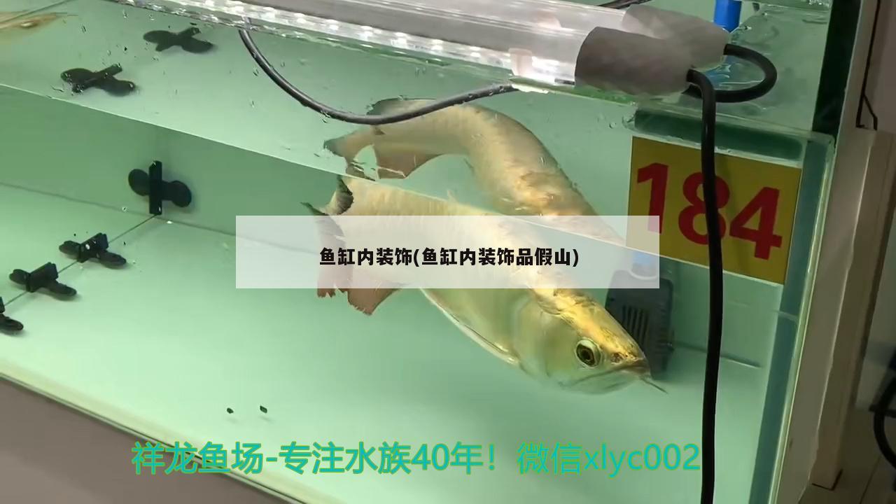 魚缸內裝飾(魚缸內裝飾品假山)