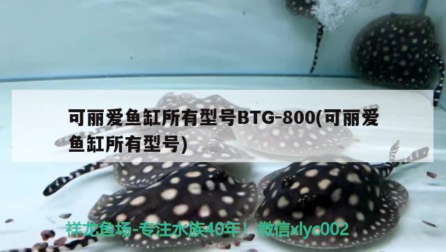 可麗愛魚缸所有型號(hào)BTG-800(可麗愛魚缸所有型號(hào)) 一眉道人魚