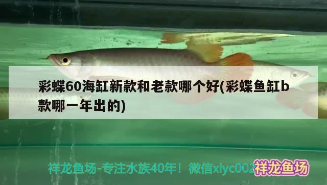 彩蝶60海缸新款和老款哪個(gè)好(彩蝶魚缸b款哪一年出的)