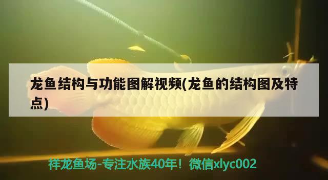 中國(guó)第一艘自主研制的航空母艦是什么時(shí)候下水的，2022年八月發(fā)生的重大事件