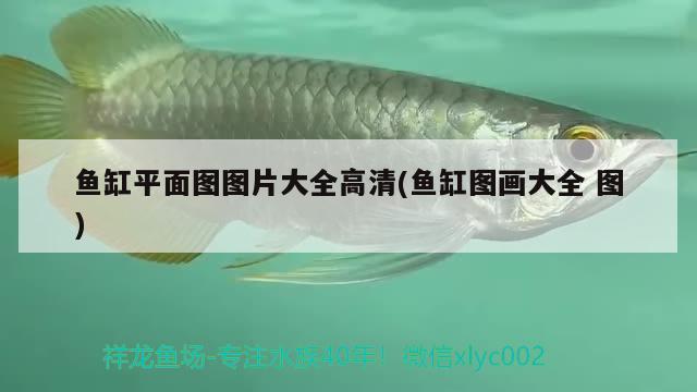 魚缸平面圖圖片大全高清(魚缸圖畫大全圖) 定時器/自控系統(tǒng)