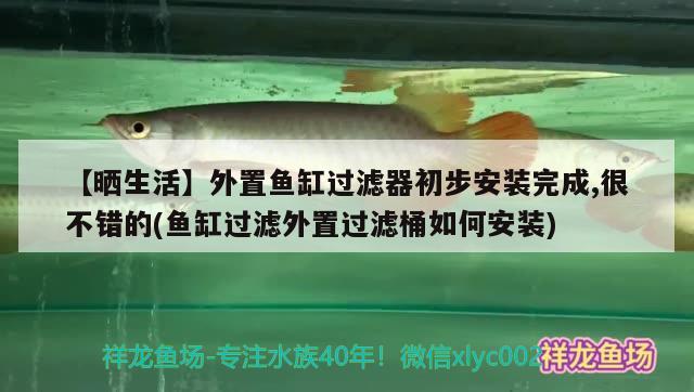 【曬生活】外置魚缸過濾器初步安裝完成,很不錯(cuò)的(魚缸過濾外置過濾桶如何安裝) B級(jí)過背金龍魚