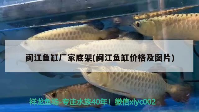 魚缸上過濾槽制作尺寸圖：魚缸上過濾槽制作教程