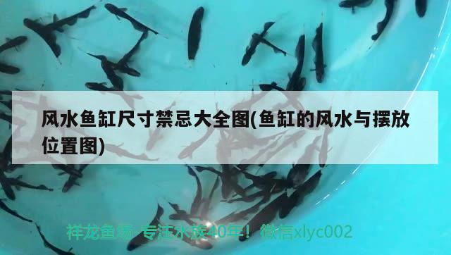 風水魚缸尺寸禁忌大全圖(魚缸的風水與擺放位置圖) 魚缸風水