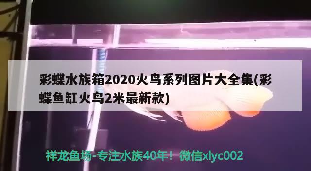 彩蝶水族箱2020火鳥系列圖片大全集(彩蝶魚缸火鳥2米最新款) 魚缸/水族箱