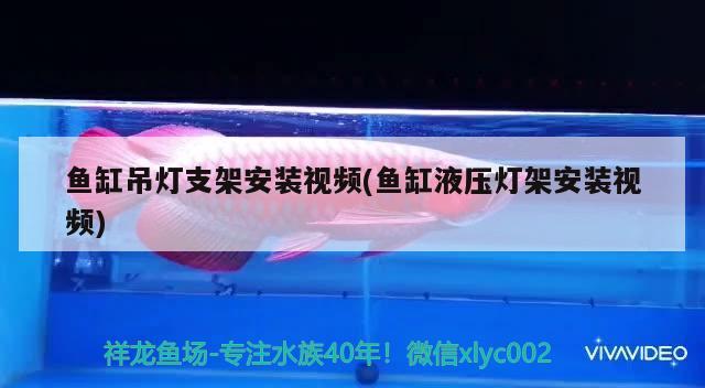 魚缸吊燈支架安裝視頻(魚缸液壓燈架安裝視頻)