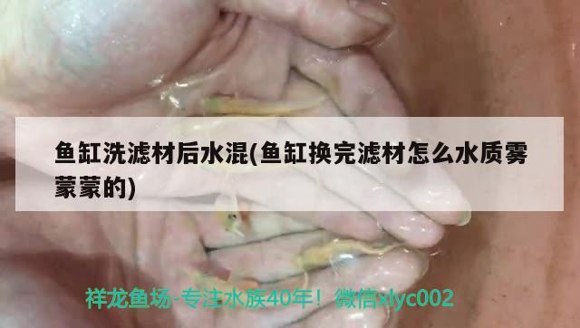 魚缸洗濾材后水混(魚缸換完濾材怎么水質(zhì)霧蒙蒙的) 球鯊魚 第3張