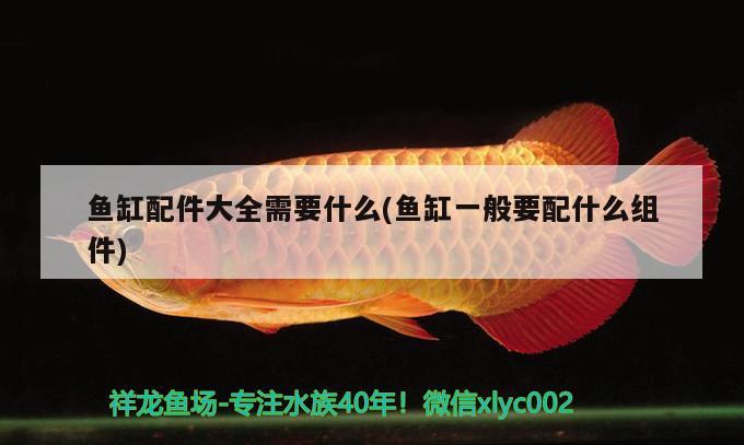 魚缸配件大全需要什么(魚缸一般要配什么組件) 魟魚百科 第2張