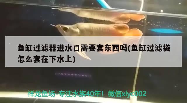 魚缸過濾器進(jìn)水口需要套東西嗎(魚缸過濾袋怎么套在下水上)