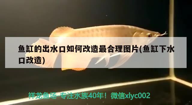 魚缸的出水口如何改造最合理圖片(魚缸下水口改造)