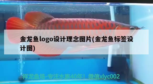 金龍魚logo設(shè)計理念圖片(金龍魚標簽設(shè)計圖) 孵化器