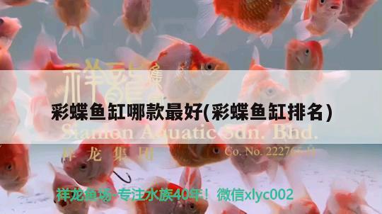 彩蝶魚缸哪款最好(彩蝶魚缸排名) 豹紋夫魚苗