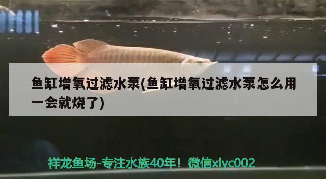 魚(yú)缸增氧過(guò)濾水泵(魚(yú)缸增氧過(guò)濾水泵怎么用一會(huì)就燒了)