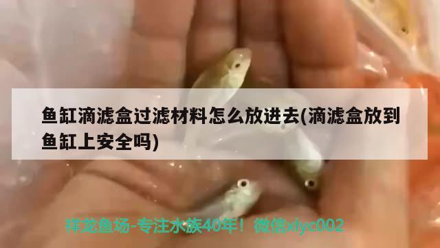 魚缸滴濾盒過濾材料怎么放進(jìn)去(滴濾盒放到魚缸上安全嗎)