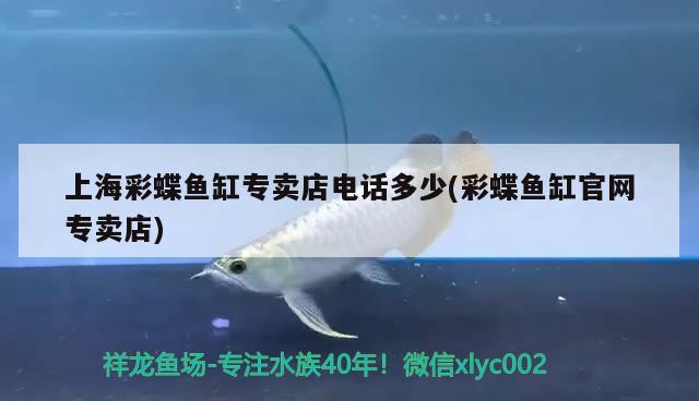 金鉆魚缸維修電話是多少?。航疸@怎么修理