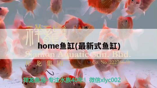 home魚缸(最新式魚缸) 魚缸/水族箱