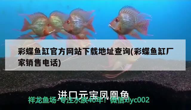 彩蝶魚缸官方網站下載地址查詢(彩蝶魚缸廠家銷售電話) 圣菲埃及魚