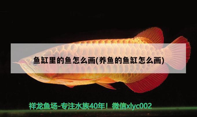 金龍魚(yú)缸燈用什么牌子（金龍魚(yú)用什么燈好看） 水族燈（魚(yú)缸燈） 第2張