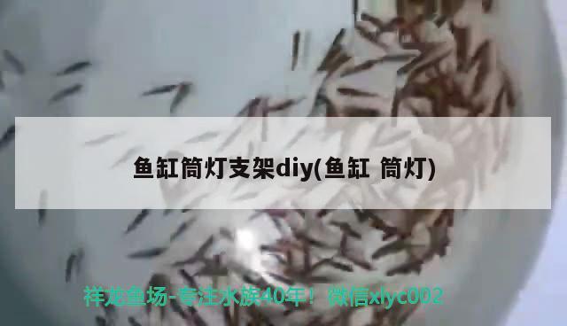 魚缸筒燈支架diy(魚缸筒燈)