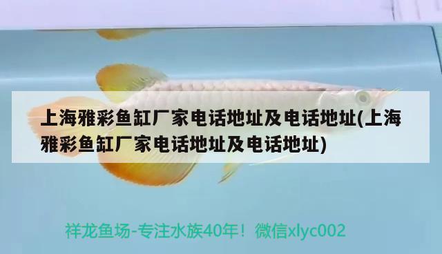 上海雅彩魚(yú)缸廠家電話地址及電話地址(上海雅彩魚(yú)缸廠家電話地址及電話地址)