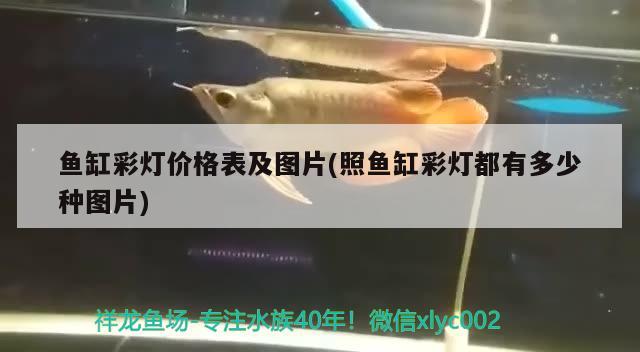 魚缸彩燈價格表及圖片(照魚缸彩燈都有多少種圖片)