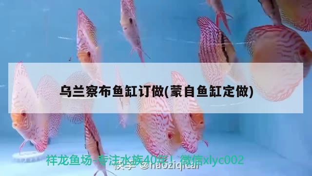 烏蘭察布魚缸訂做(蒙自魚缸定做)