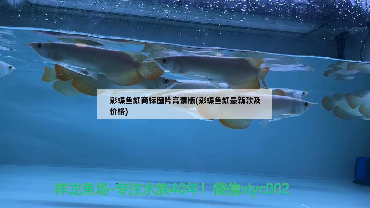 魚缸開放式好還是開放式好？（養(yǎng)魚魚缸封閉好還是開放好，）