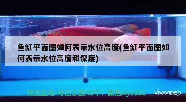 魚缸平面圖如何表示水位高度(魚缸平面圖如何表示水位高度和深度)