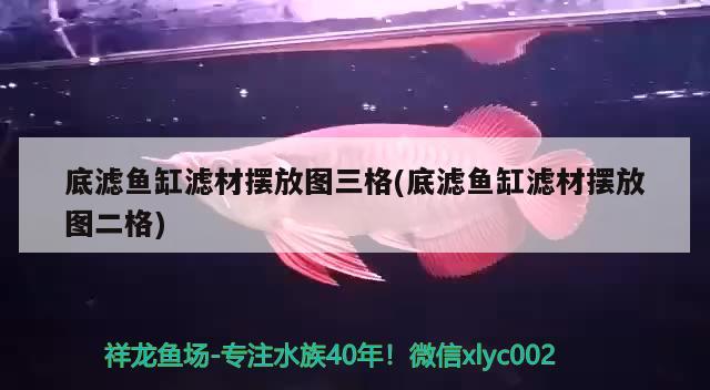 底濾魚缸濾材擺放圖三格(底濾魚缸濾材擺放圖二格) 觀賞魚魚苗