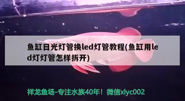 魚缸日光燈管換led燈管教程(魚缸用led燈燈管怎樣拆開)