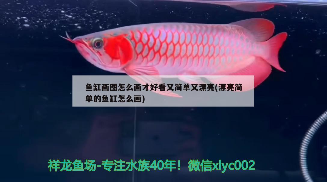 魚缸led燈什么品牌好(魚缸燈管和led哪個好)