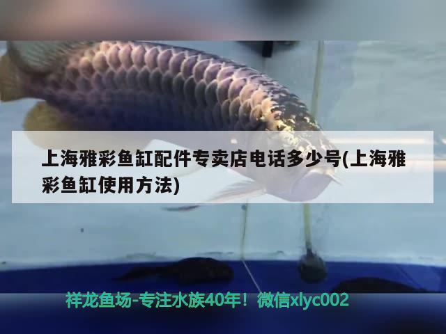 上海雅彩魚缸配件專賣店電話多少號(上海雅彩魚缸使用方法)